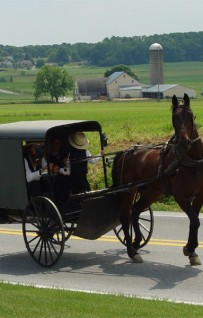 Storia del fenomeno comunitario: gli Amish, inossidabili al tempo
