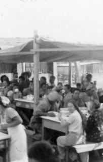 Storia del fenomeno comunitario: la stagione dei kibbutzim